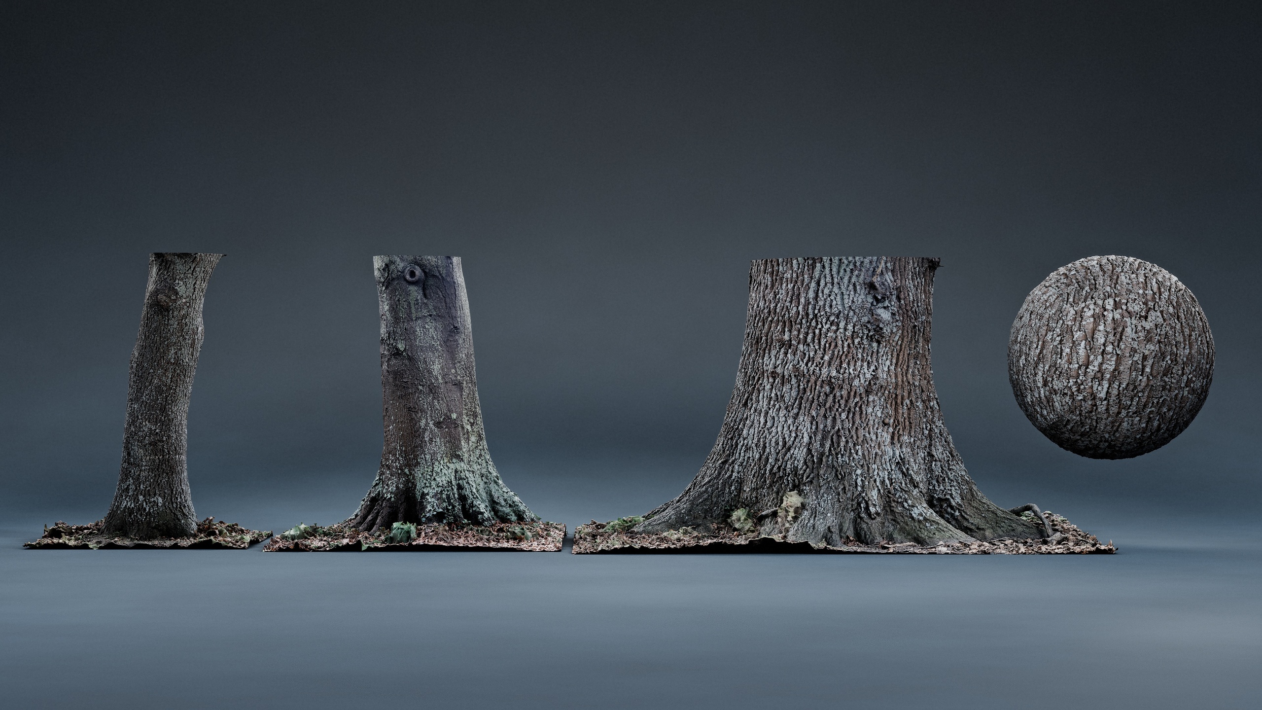 Medium 1 für Eintrag Oak Trunk Pack | 2-8K PBR