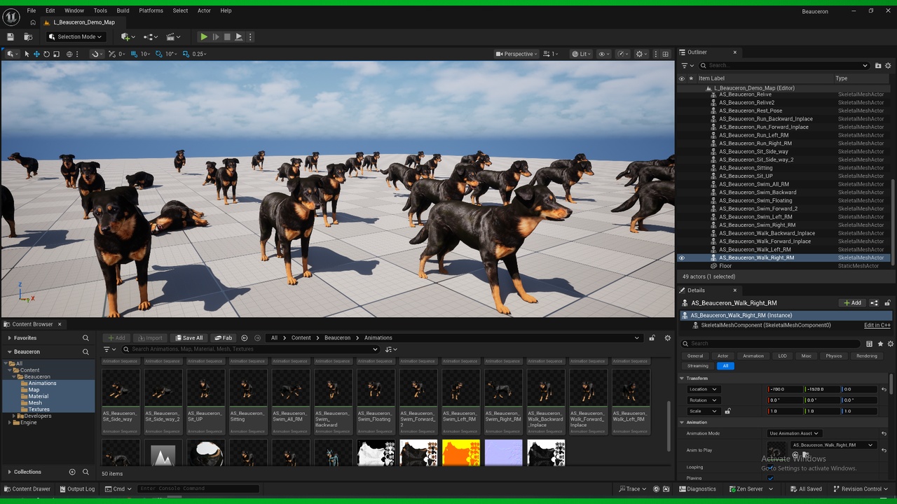 Media 1 for listing Beauceron Dog