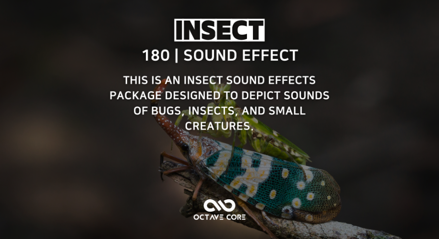 Insect1 SoundEffect | Fab