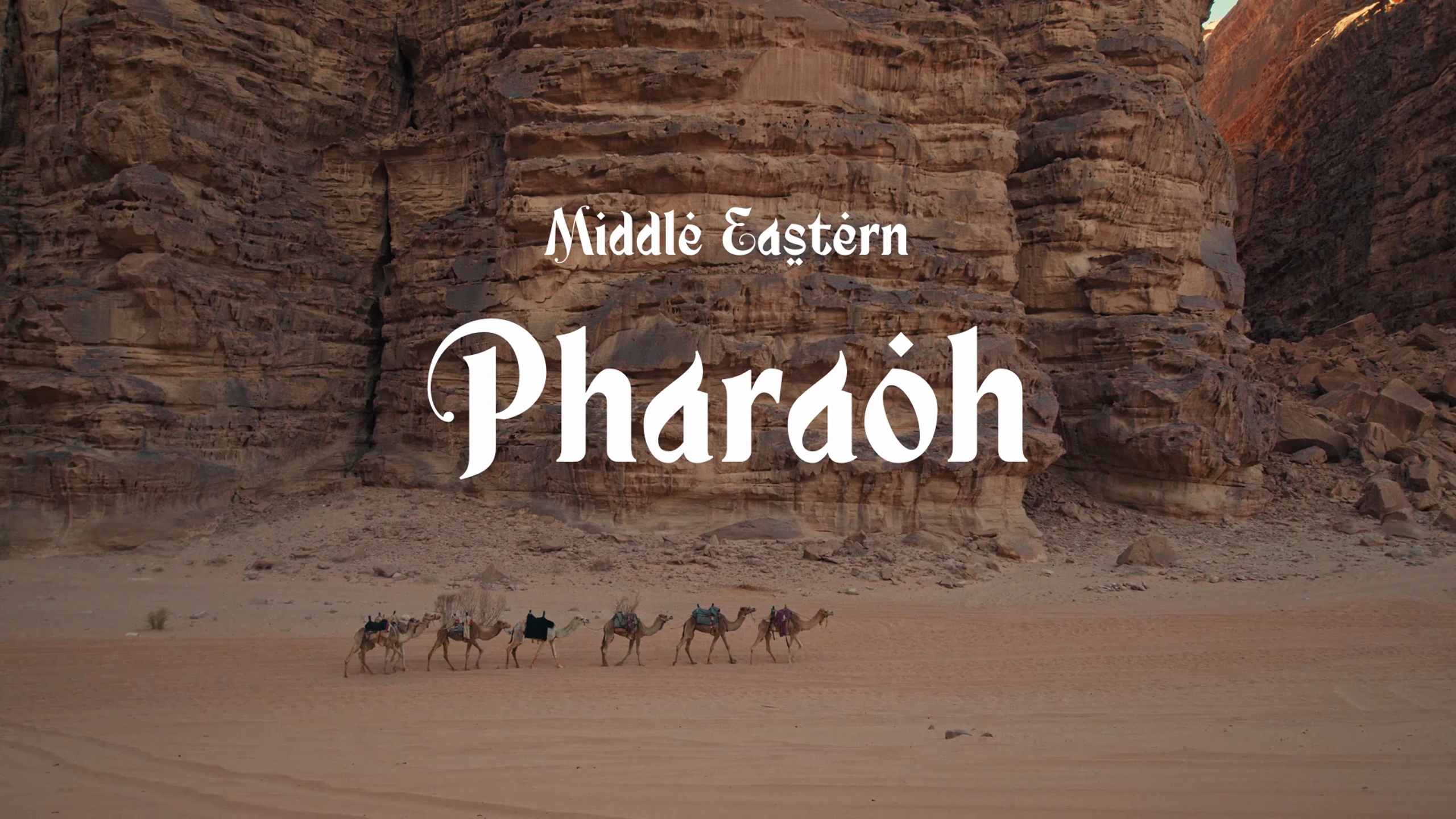 Media 1 for listing Pharaoh / Middle Eastern