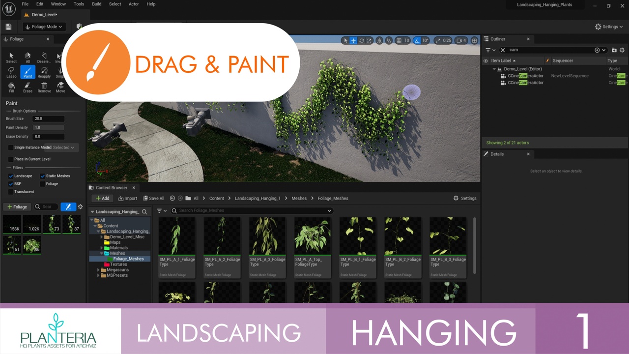 Media 1 for listing Landscaping Hanging Plants 1