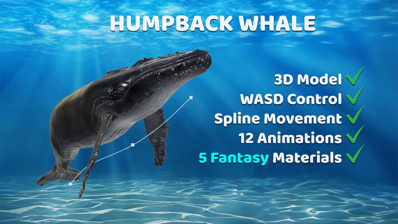 Media 1 for listing Animated Humpback Whale