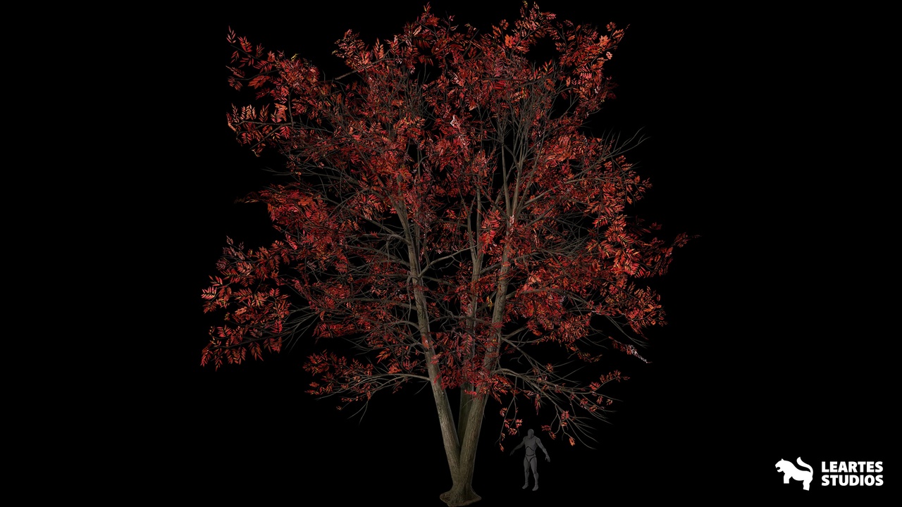 Media 1 for listing Sourwood Trees ( Sourwood Trees Tree Nature Forest Vegetation 3D Prop Art )