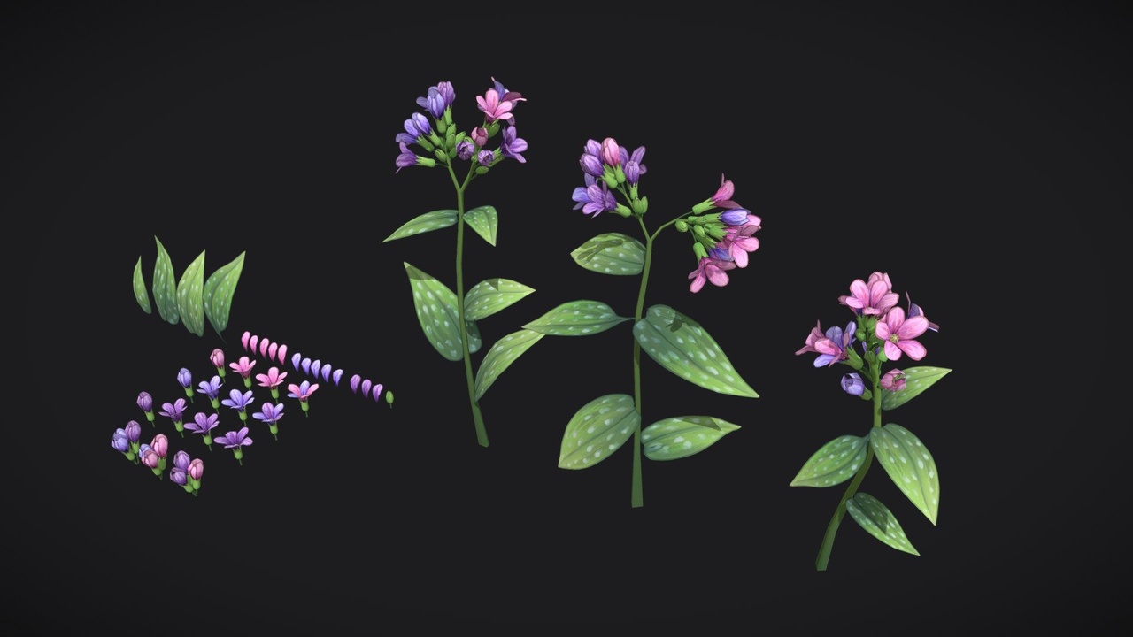 Media 1 for listing Lungwort stylized plant