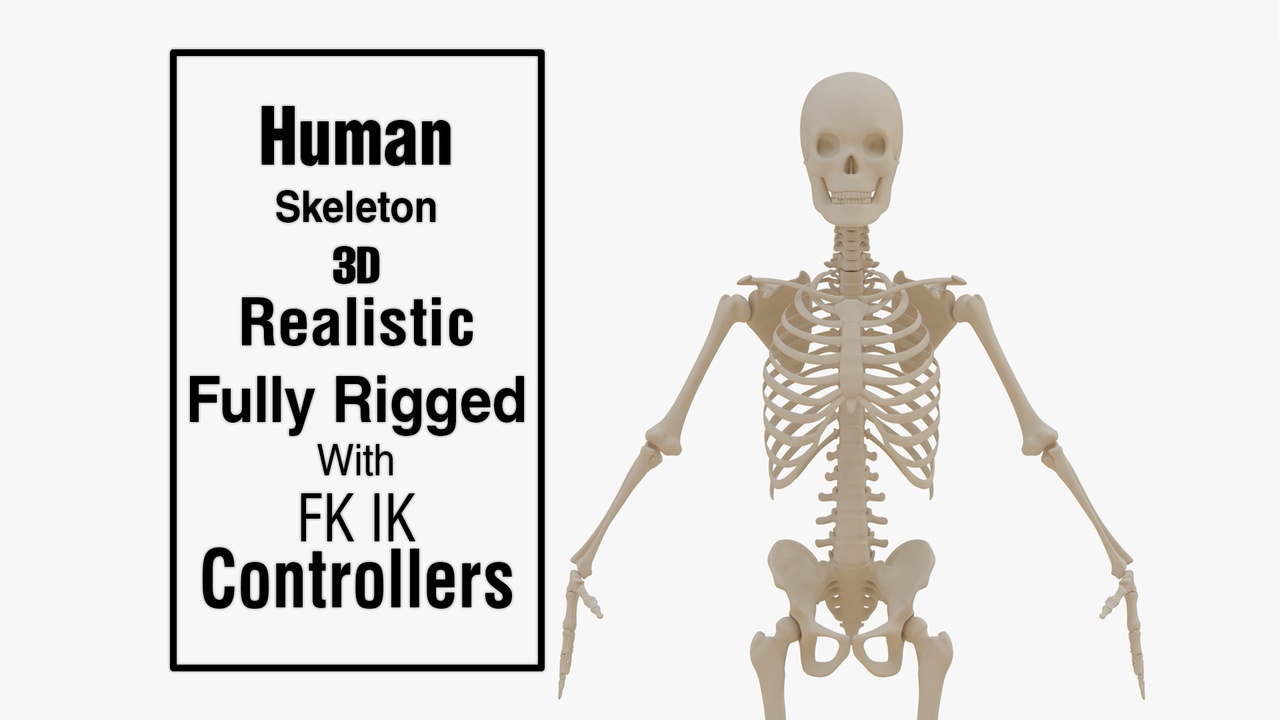 Media 1 for listing Realistic Human Skeleton Pro v1 For Animation and Games
