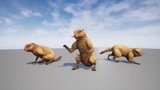 Asset image