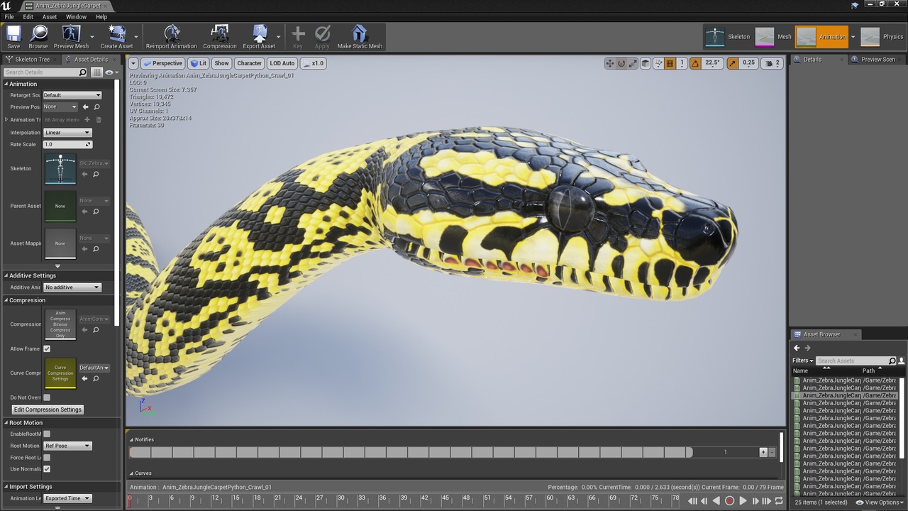 Media 1 for listing Zebra Jungle Carpet Python