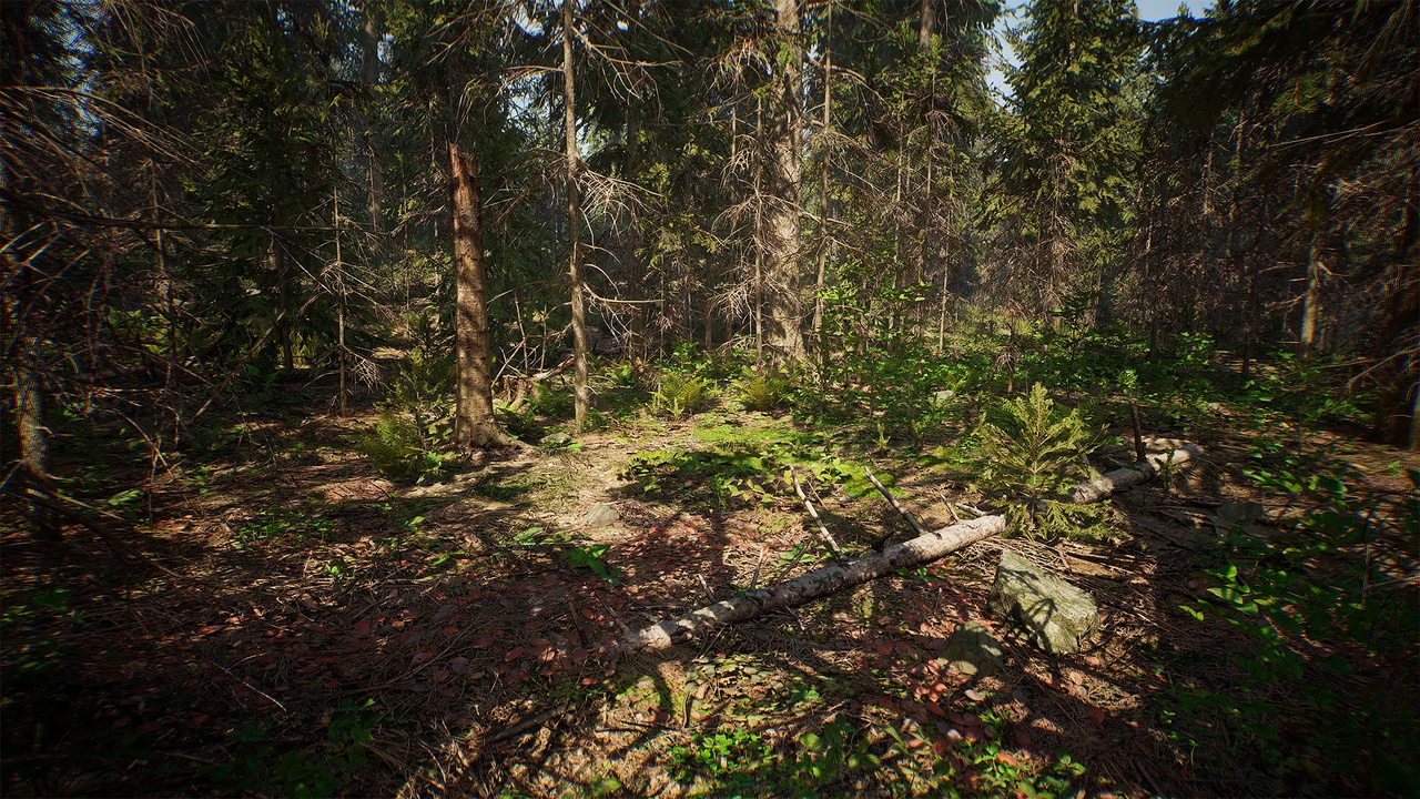 UCreate - Conifer Forest | Fab