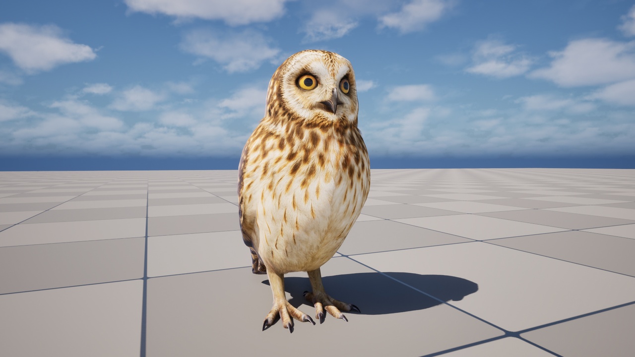 Media 1 for listing Owl