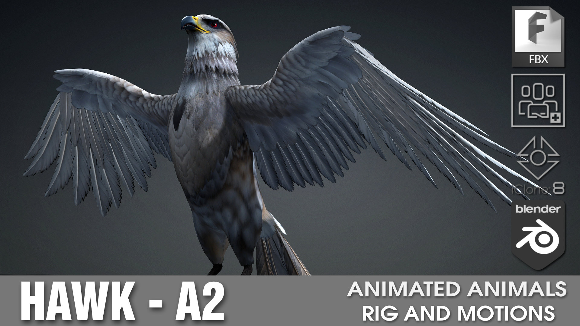 Hawk_A2 | Fab