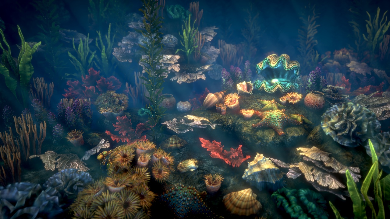 Média 1 pour l'article Corals 2