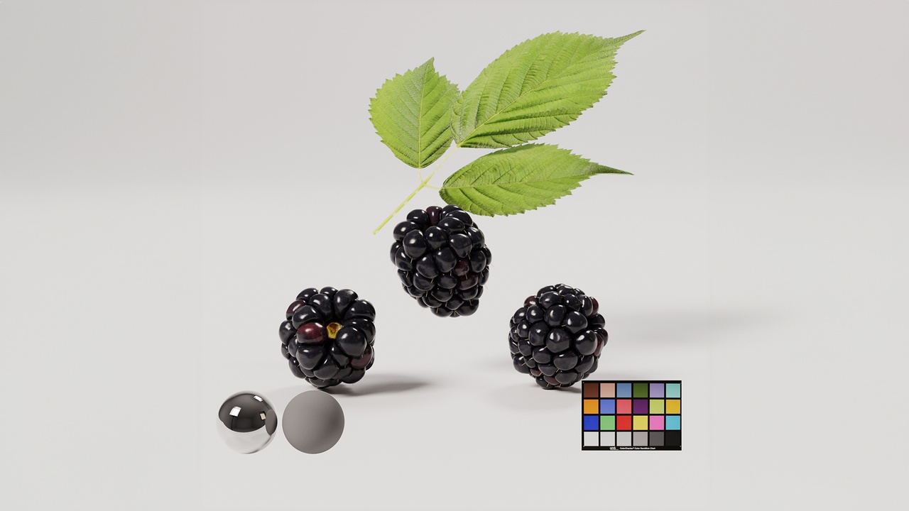 Blackberry 제품 등록을 위한 미디어 1개