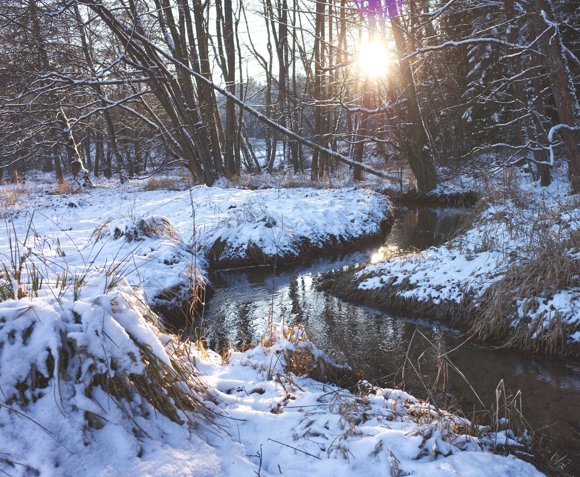 Media 1 for listing Wintertime Woods