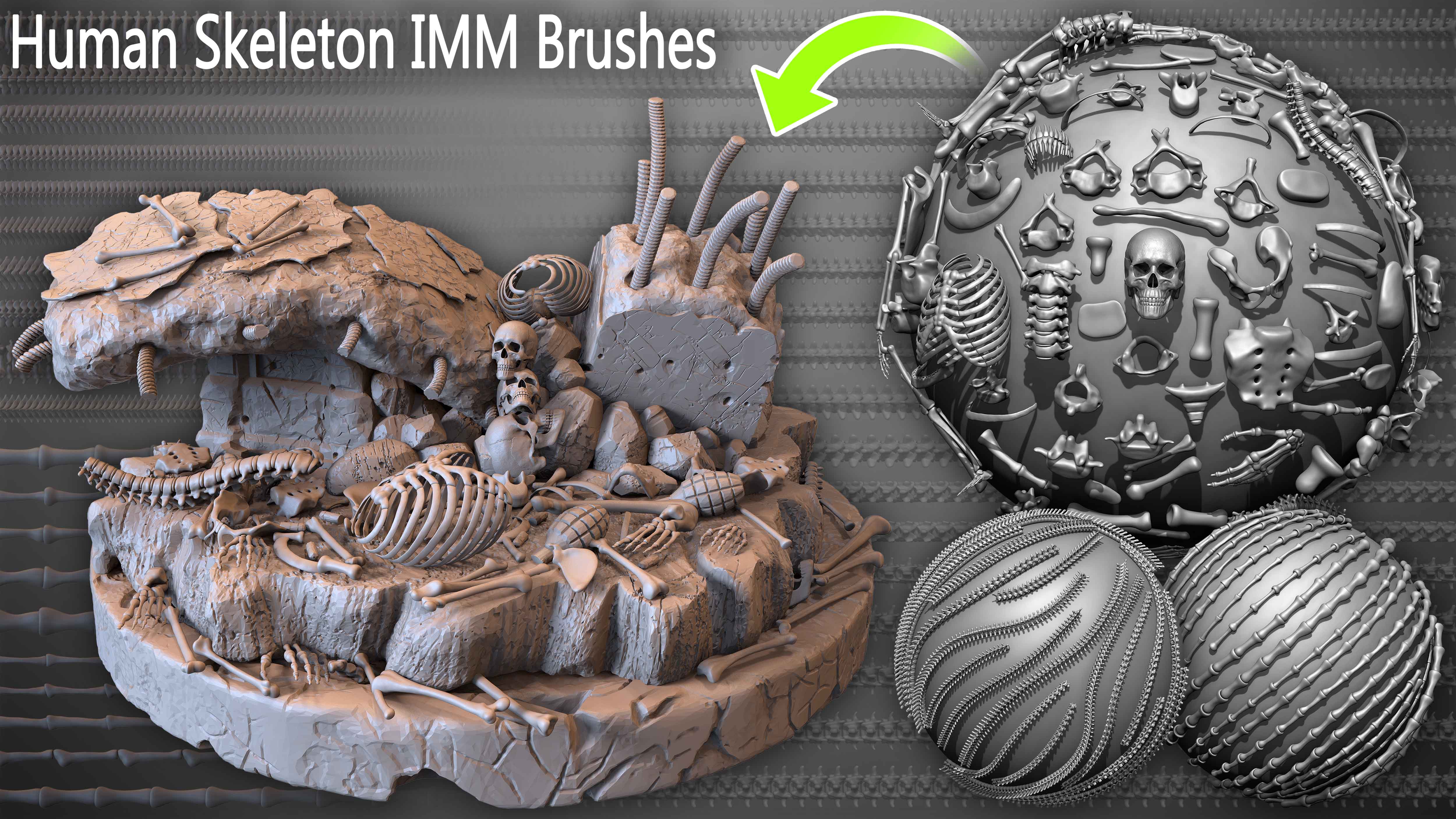 Human Skeleton IMM Brushes | Fab