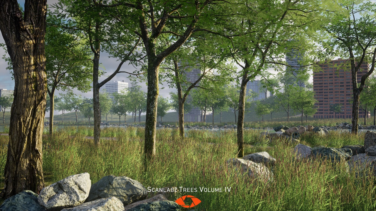 Media 1 for listing Scanlabz Trees _ Honeylocust Tree