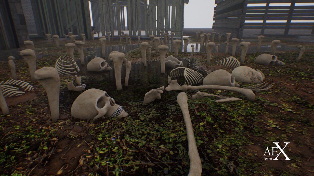 Media 1 for listing Skull Package