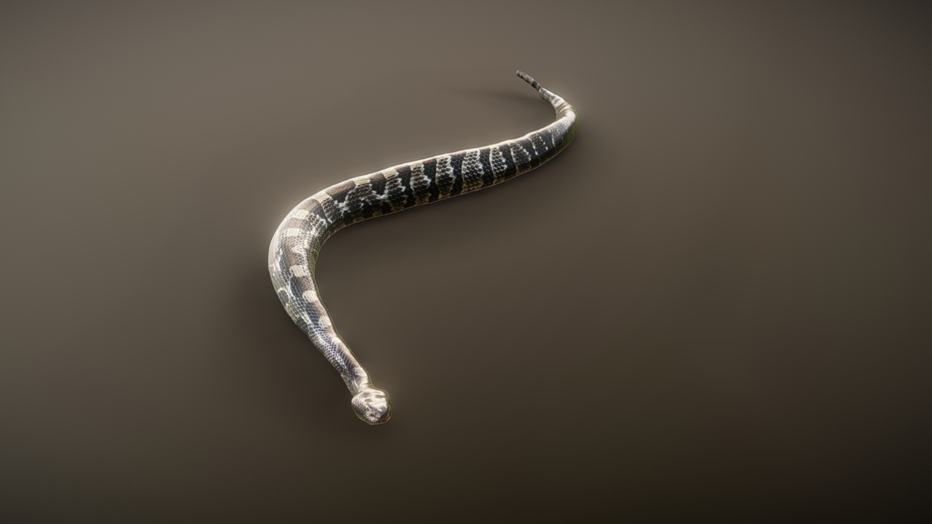 Snake Animation Factory Rattlesnake animation D | Fab
