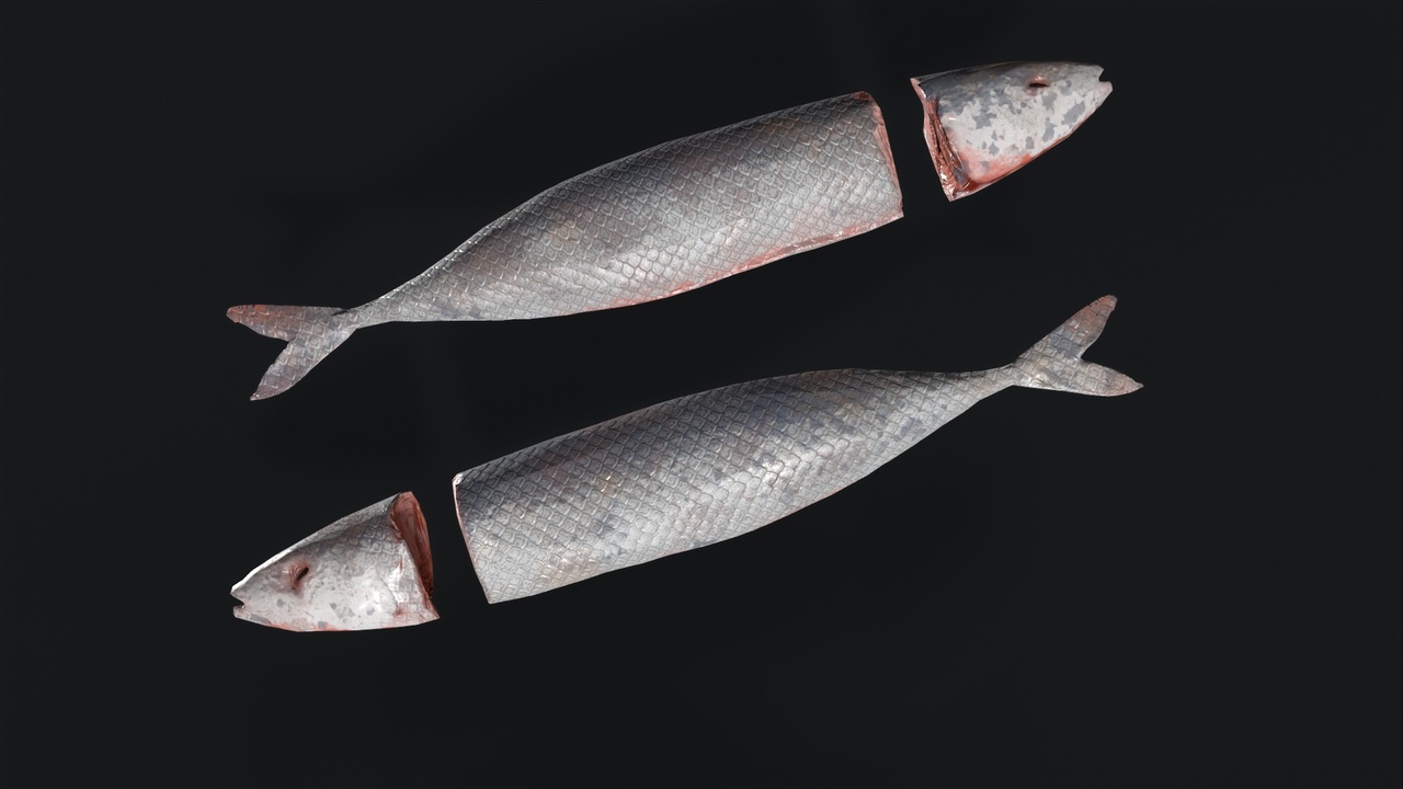 Media 1 for listing Fish Asset Pack – Game-Ready Aquatic Creatures Collection