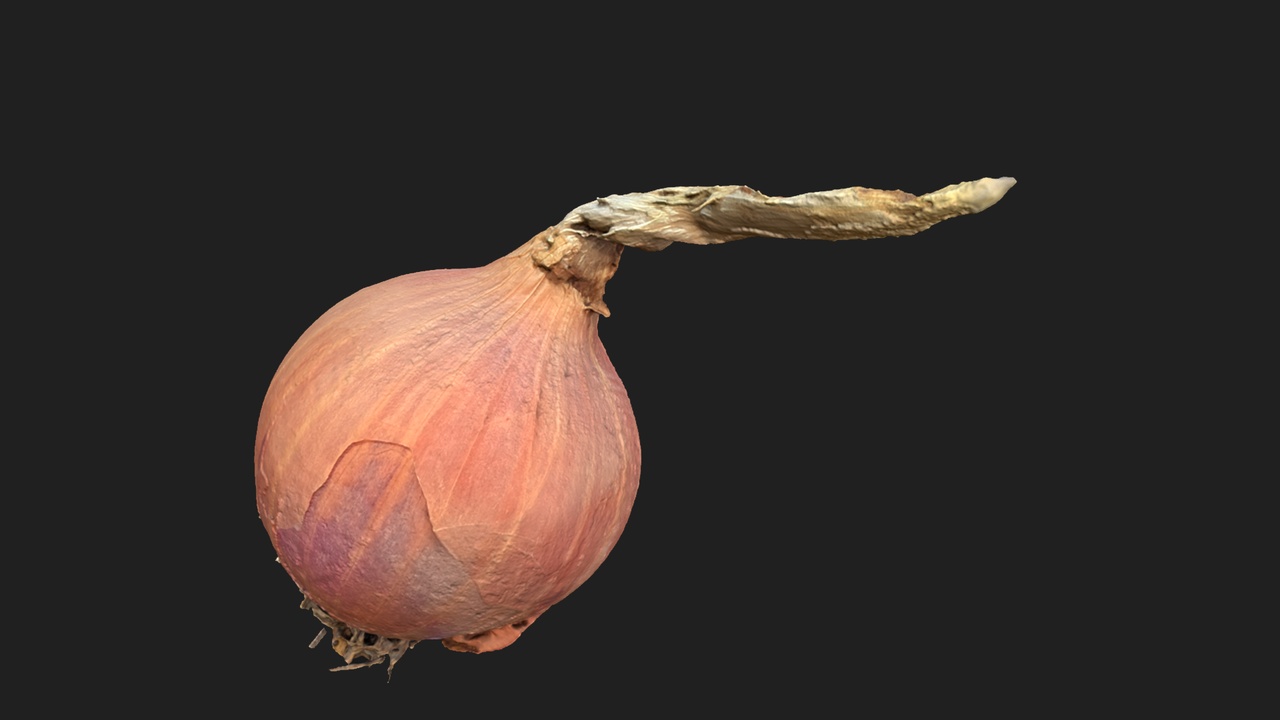 Media 1 for listing Whole Onion – Scanned Asset + Game-Ready