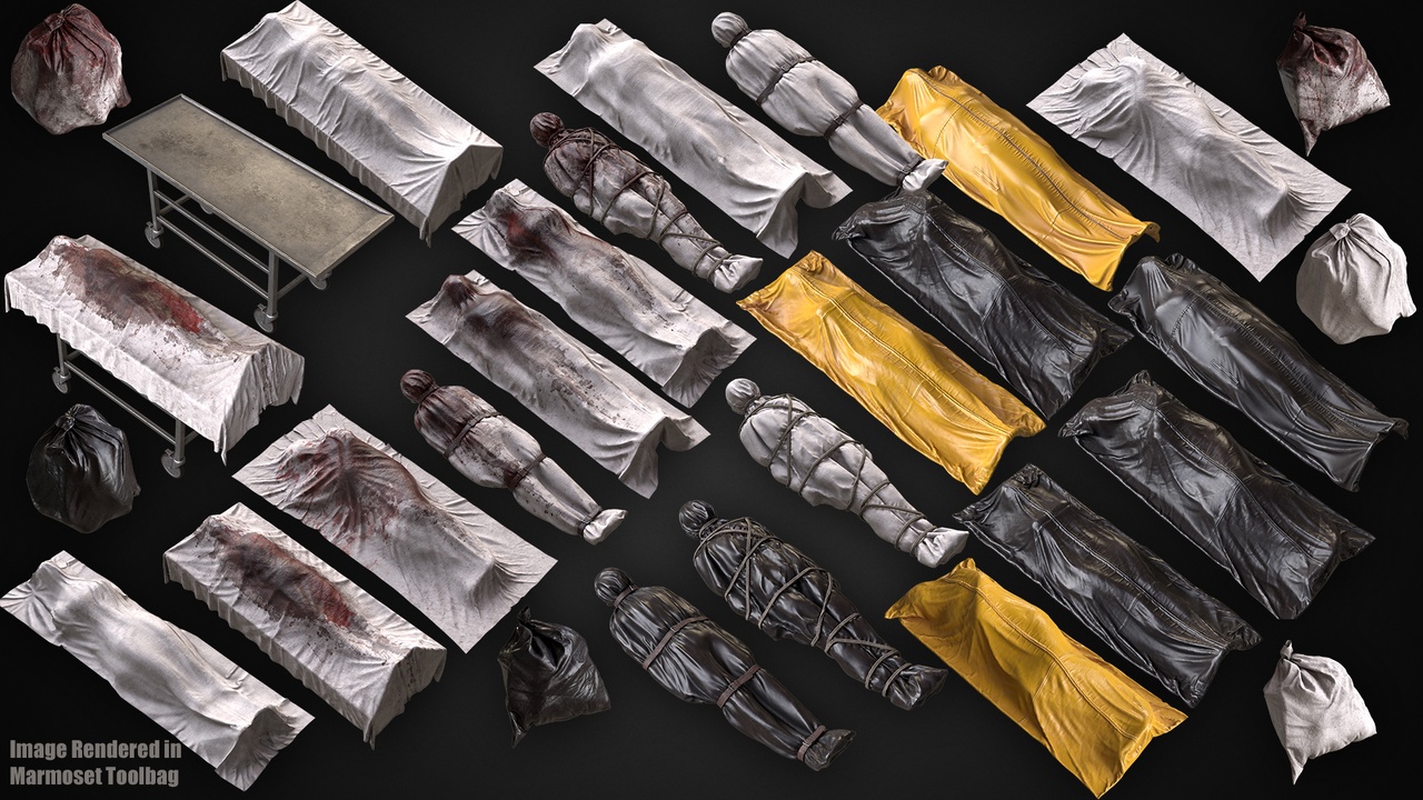 Media 1 for listing Bodybags