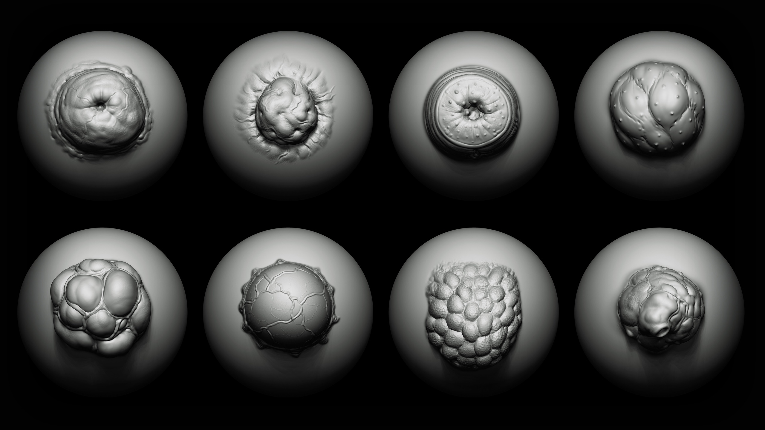 Zbrush + Blender 40 Mutant Brush + Alphas | Fab