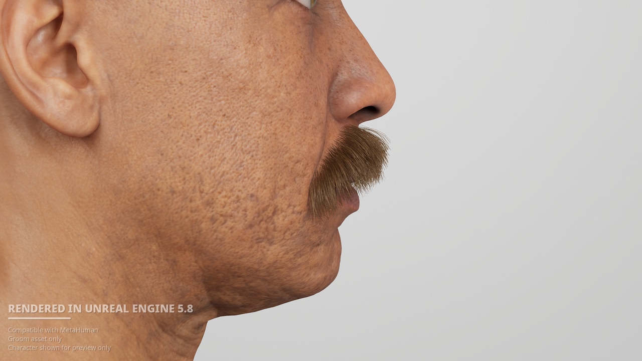 Media 1 for listing Full Chevron Mustache - MetaHuman Groom