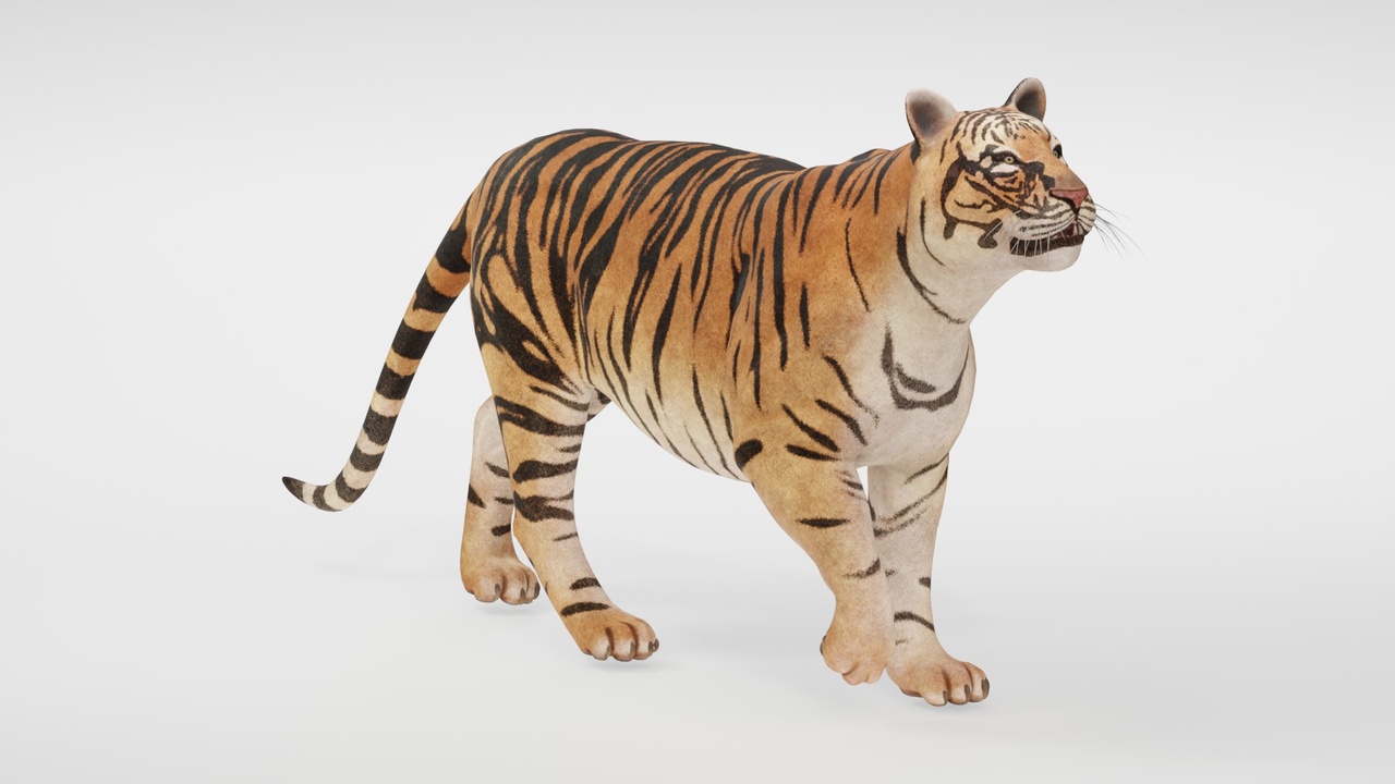 Media 1 for listing High Quality Wildlife Realistic Tiger