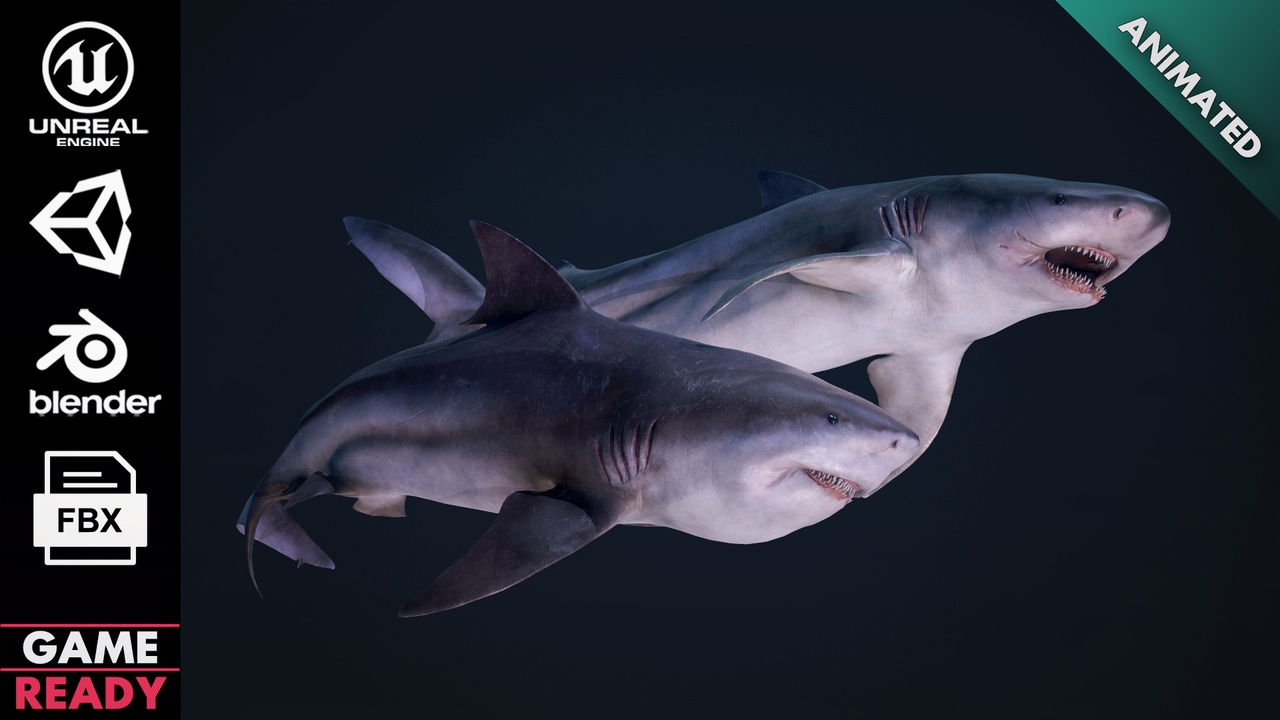 Media 1 for listing Bull Shark