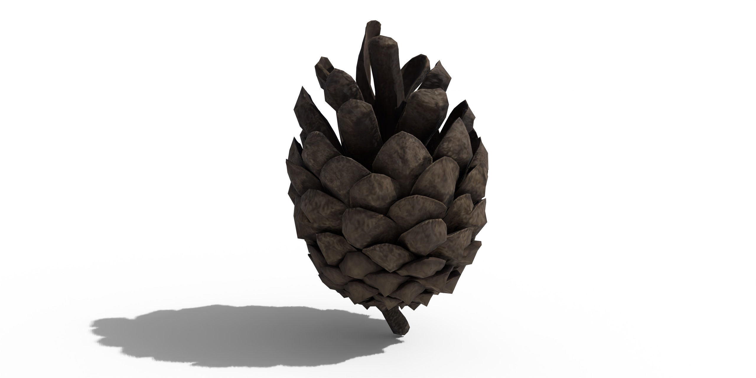 Media 1 for listing Pine Cone Half Open