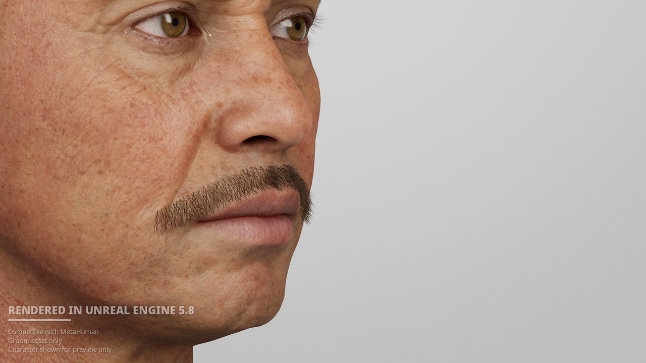 Media 1 for listing Classic Chevron Mustache – MetaHuman Groom
