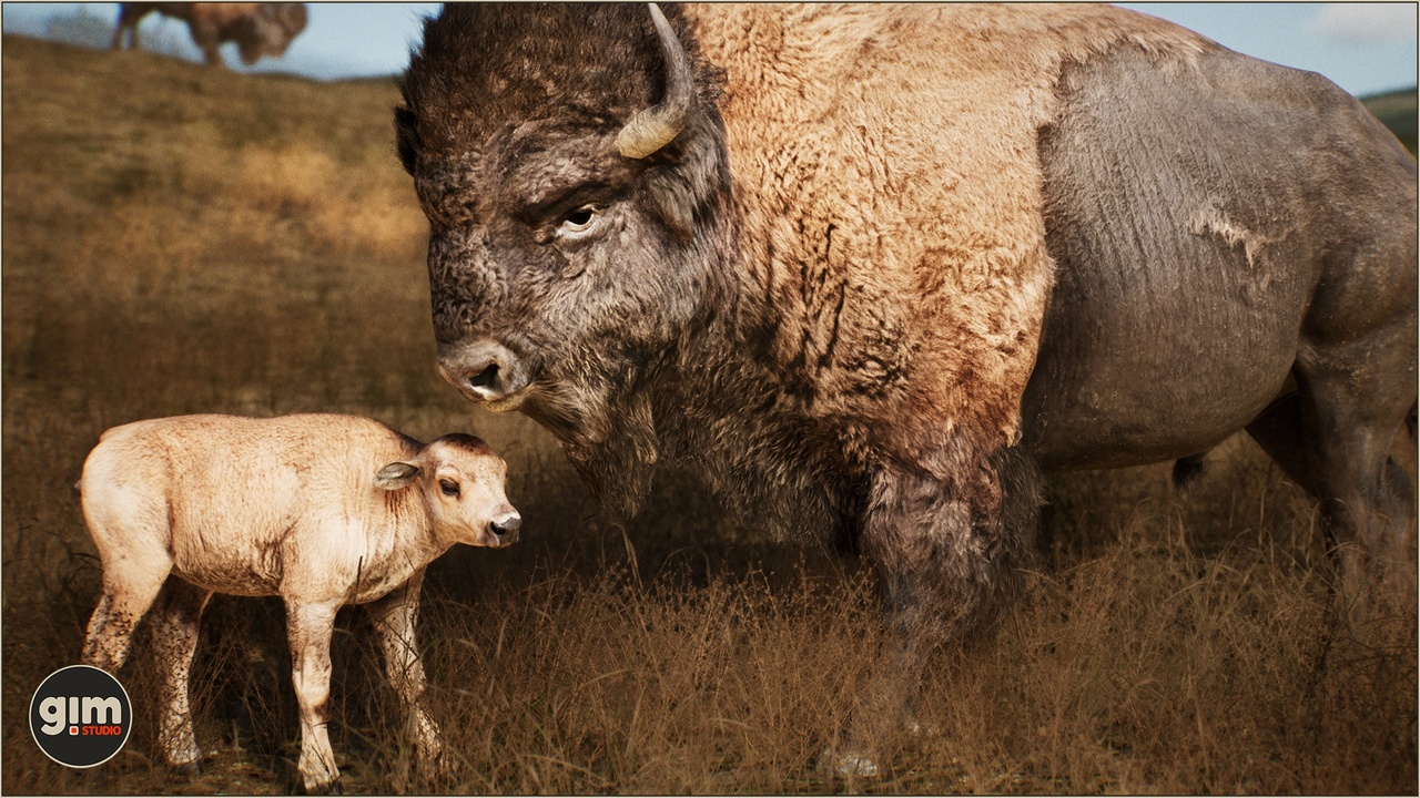 Media 1 for listing Animalia - American Bison (pack)