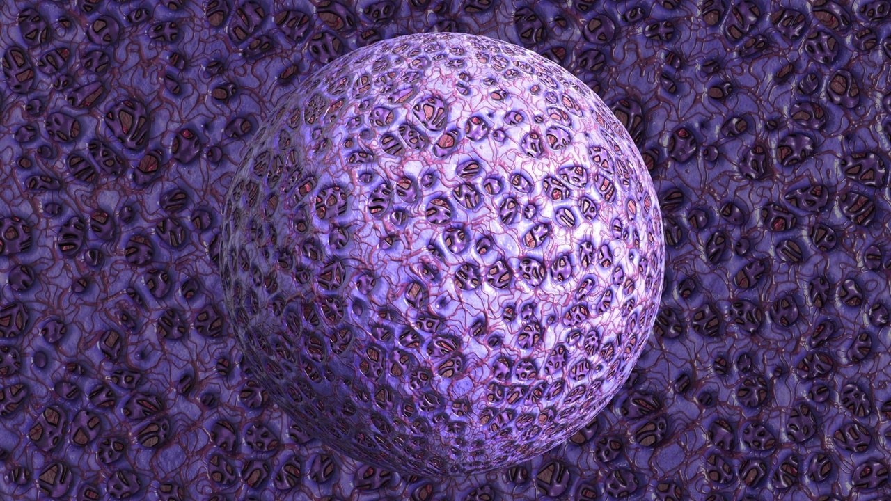 Media 1 for listing Organic Surface Material V4