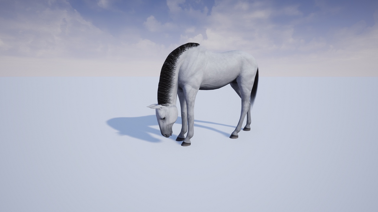 Media 1 for listing The Horse