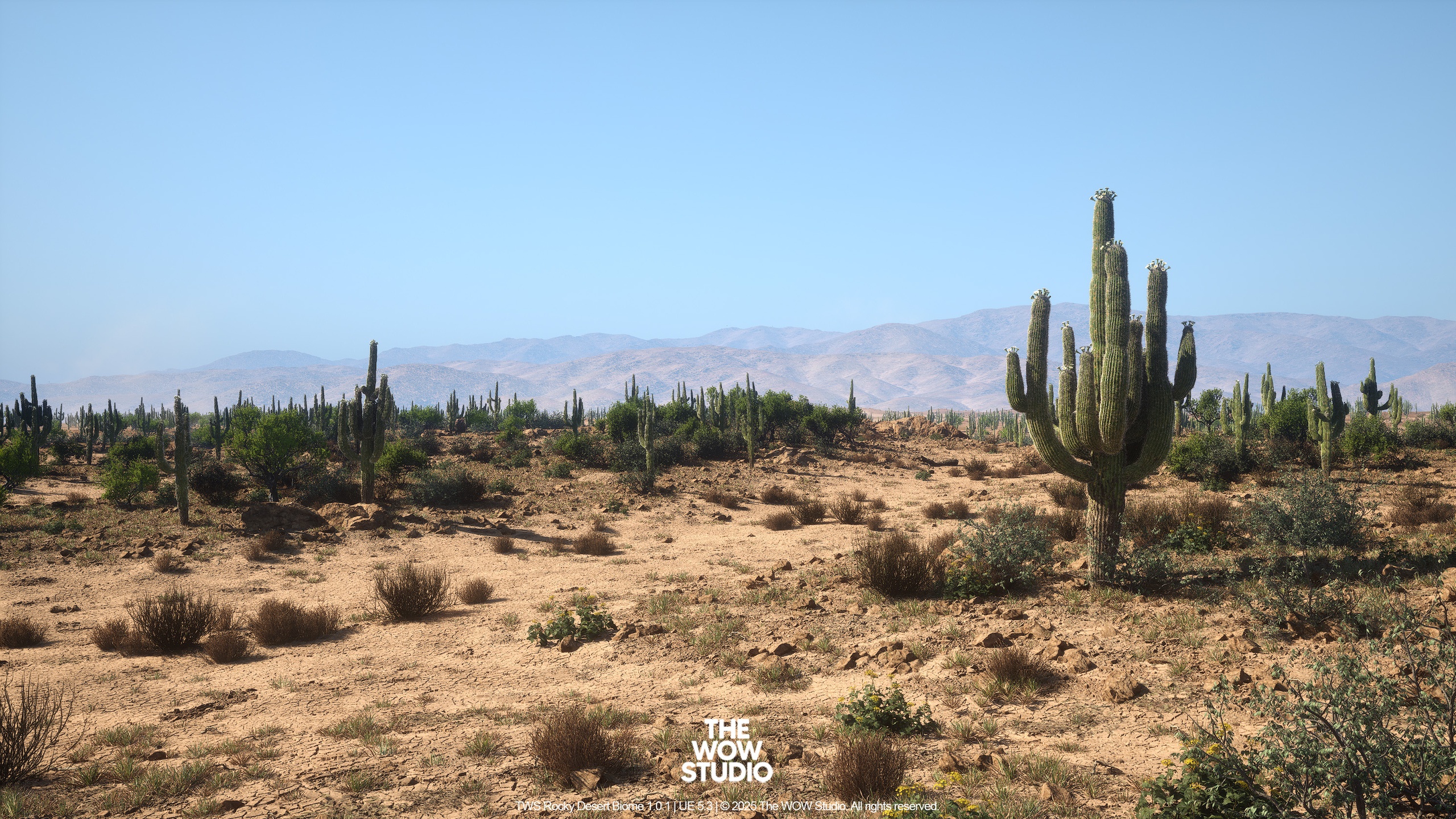Media 1 for listing TWS - Rocky Desert Biome