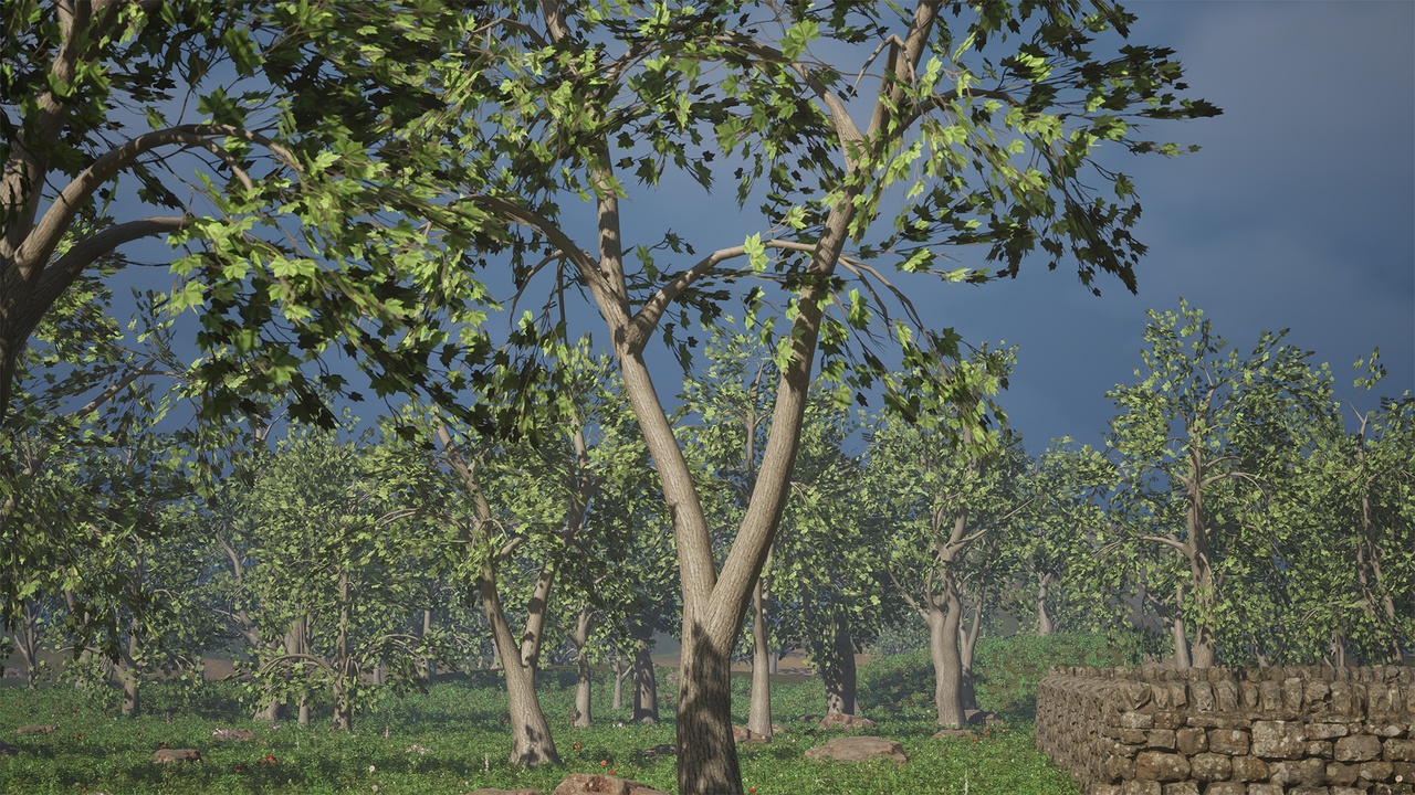 Media 1 for listing Realistic Low Poly Tree Pack 42M