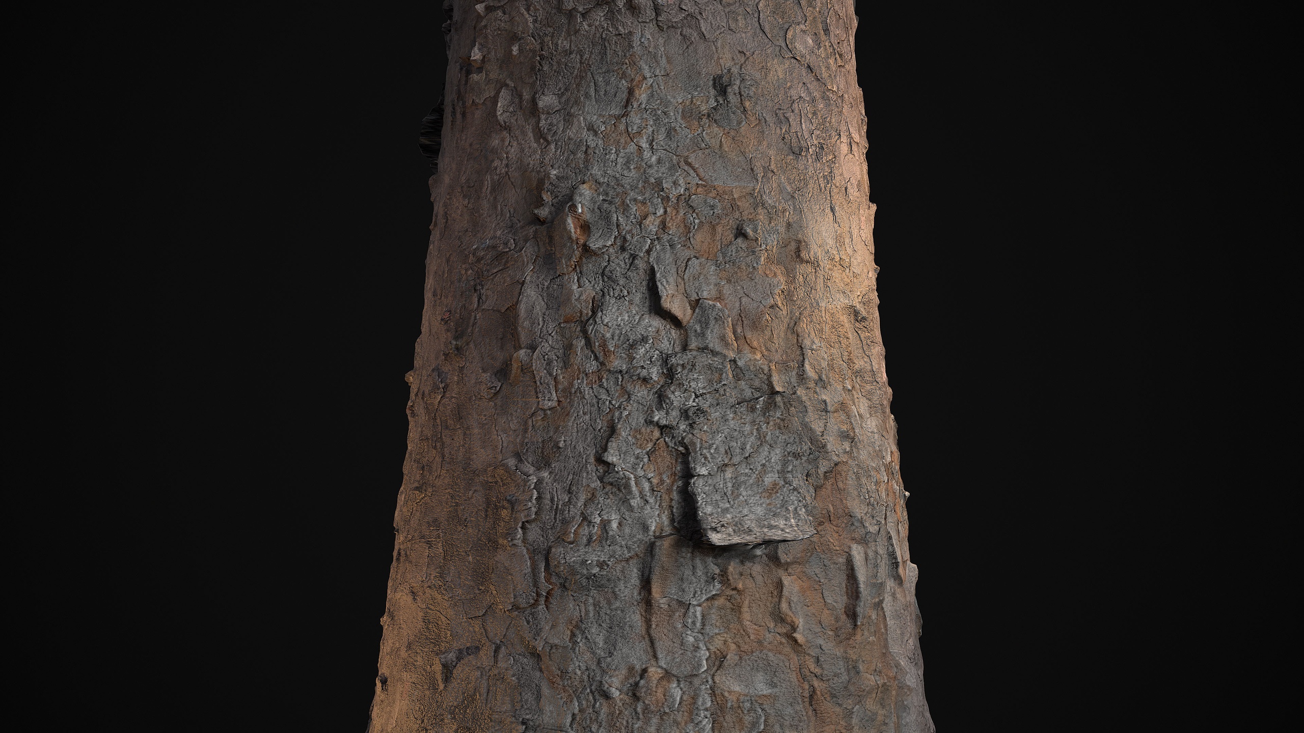 Media 1 for listing Spruce Bark V2 - Photogrammetry