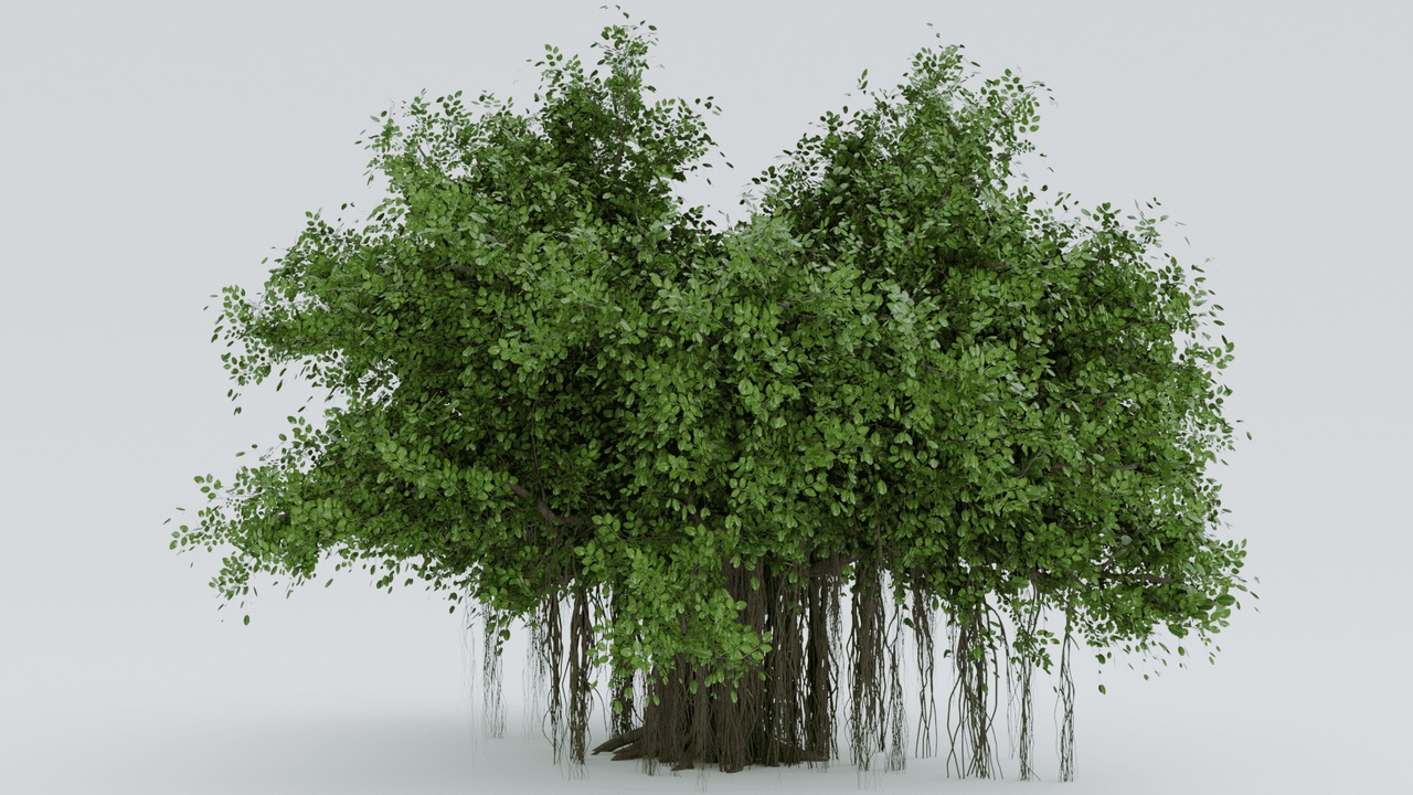 Media 1 for listing Banyan Tree - Realistic 3D Model with Aerial Roots (Game Ready / Unreal Engine 5