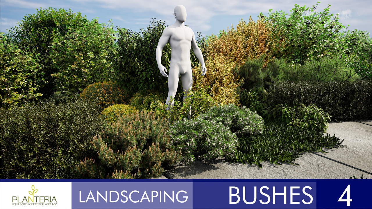 Landscaping Bushes 4 제 품 등록을 위한 미디어 1개