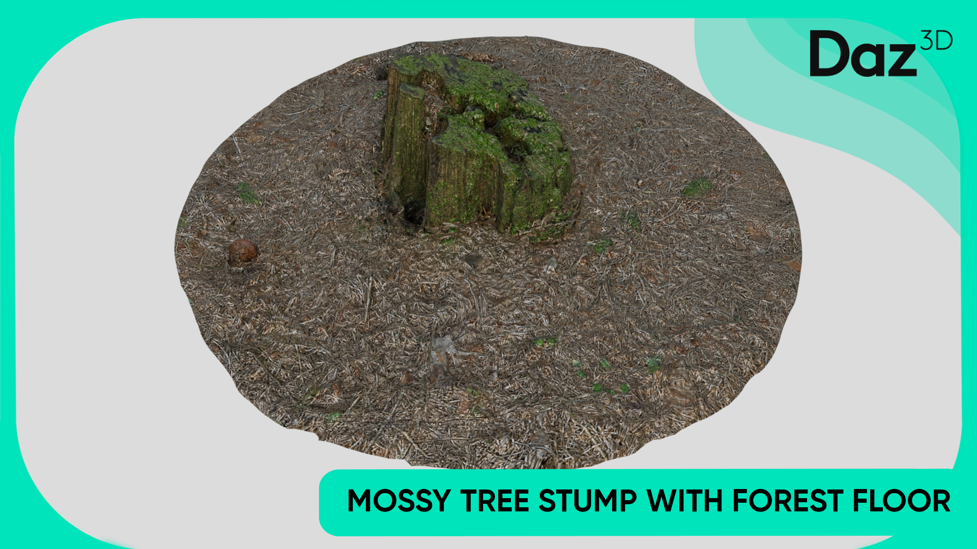 Mossy Tree Stump with Forest Floor | Fab