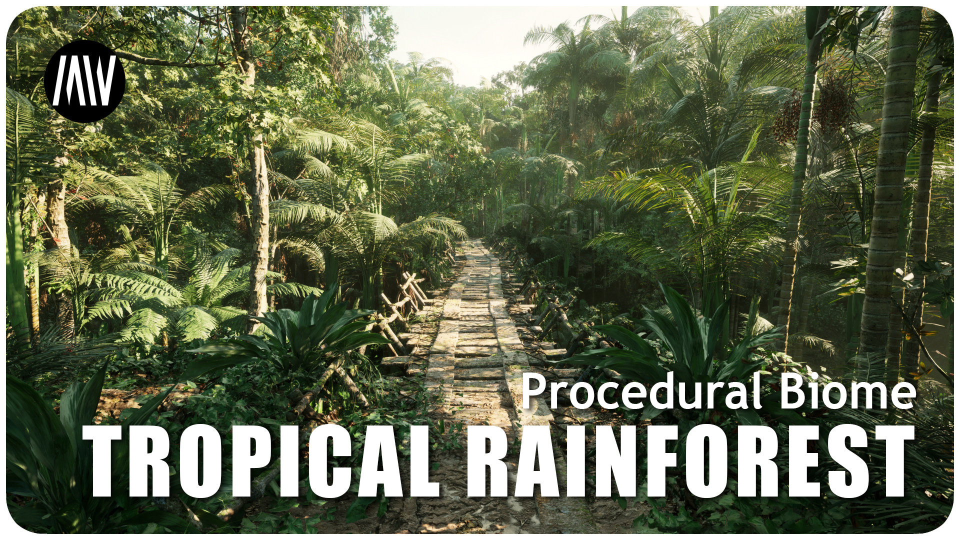 Trees In The Tropical Rainforest MW Tropical Rainforest Trees Biome