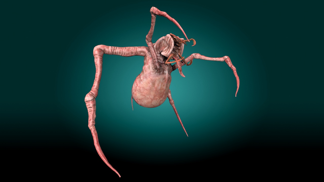 Media 1 for listing Poisonous insect monster