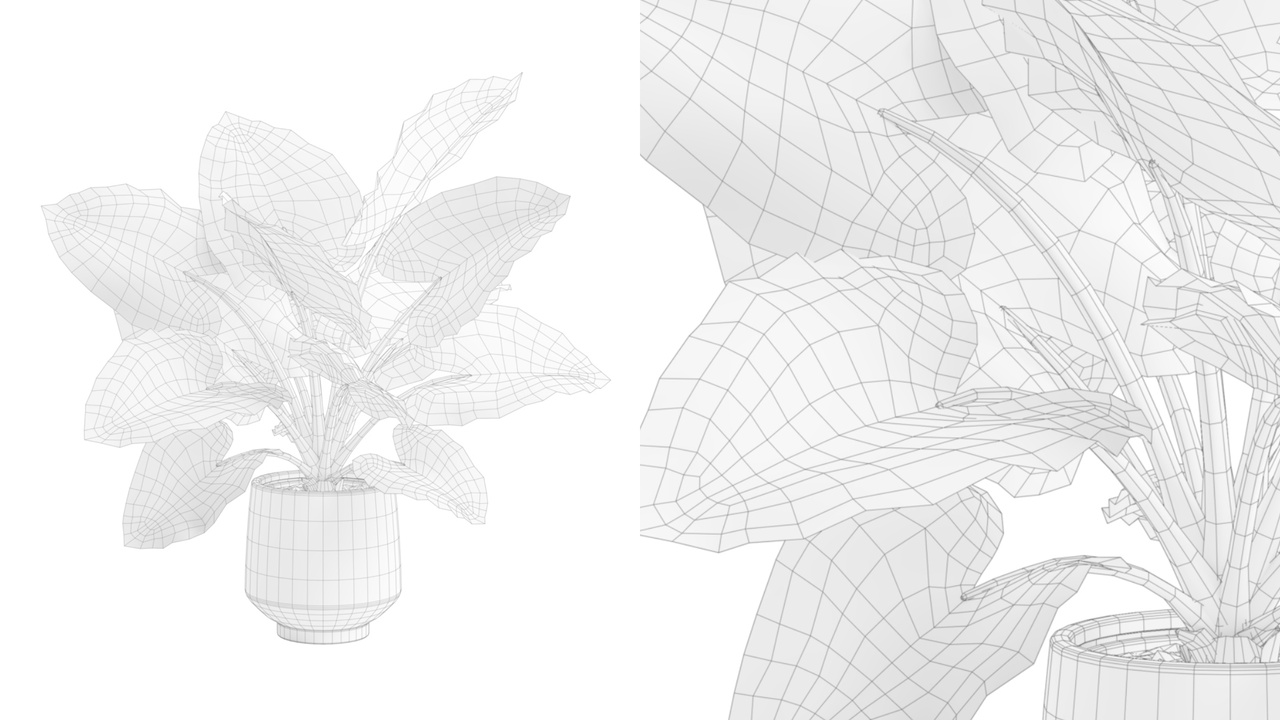 Media 1 for listing Alocasia Terracotta Planter
