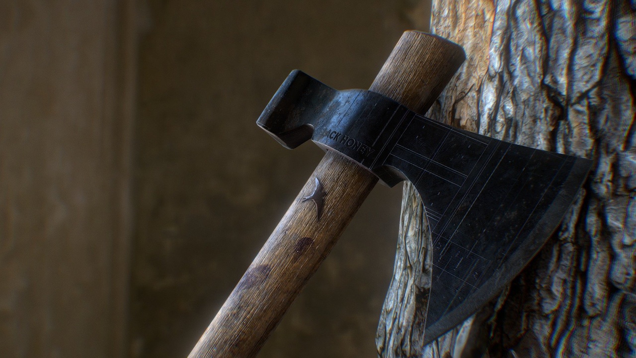 Media 1 for listing Woodsman Collection - Tomahawk Axe