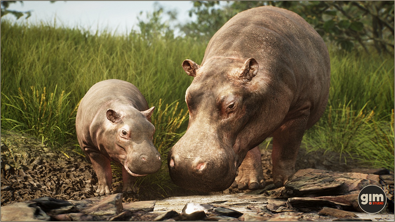 Media 1 for listing Animalia - Hippopotamus (pack)
