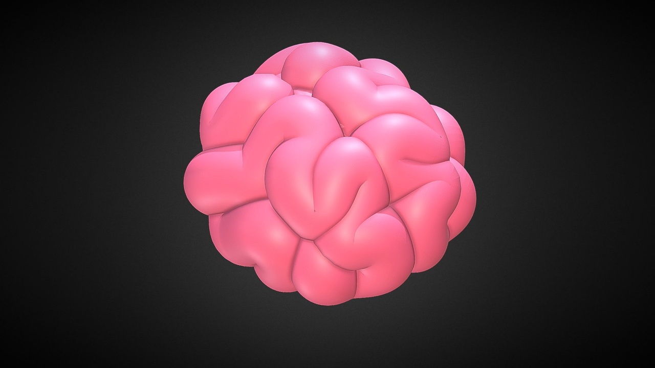 Media 1 for listing Brain