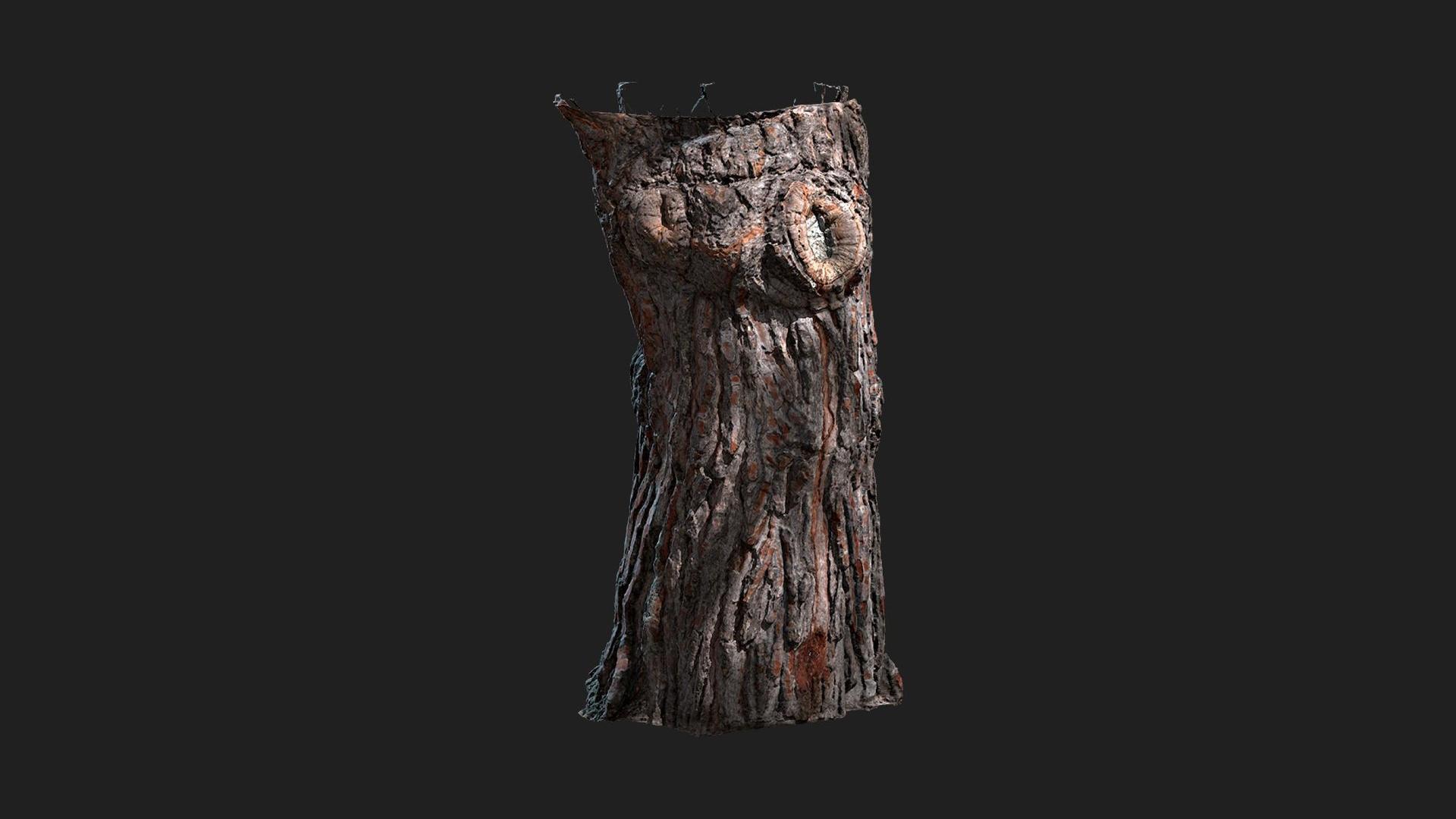 Tree Stump | Fab