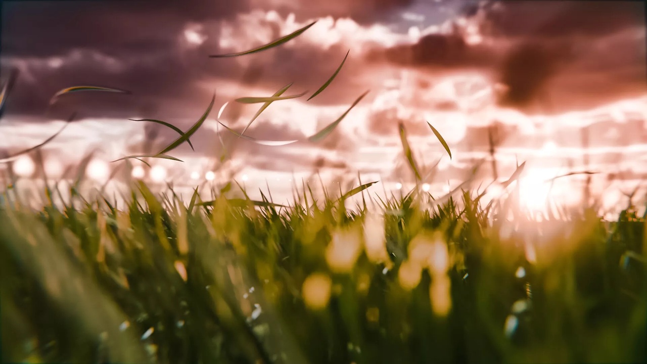 Media 1 for listing Alpine Grass Field – Wind Swaying & Blown Away Effect (3D Model)