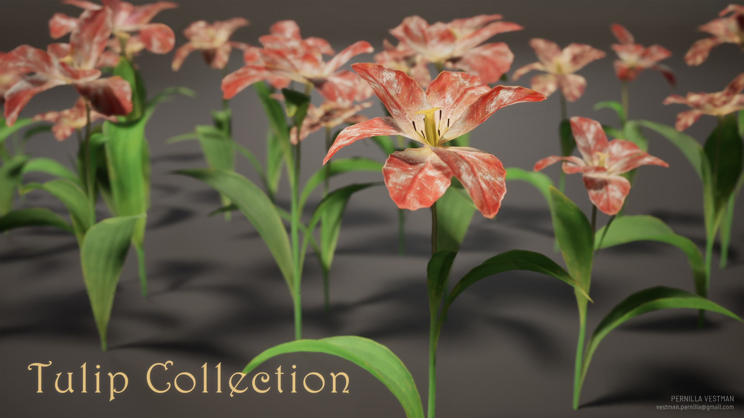 Media 1 for listing Tulip Collection