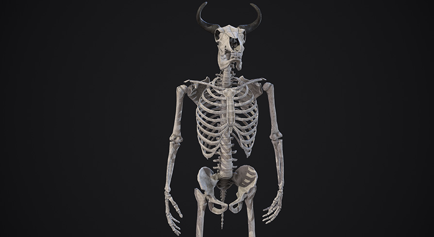 Minotaur Skeleton | Fab