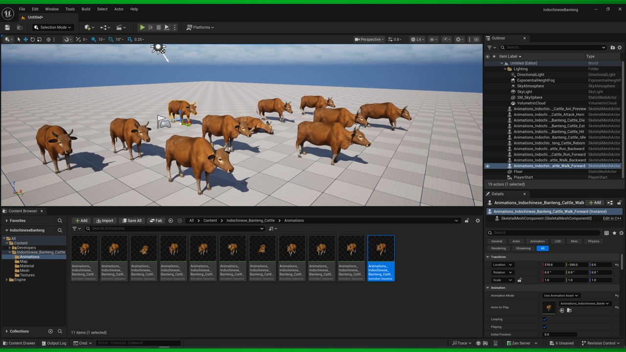 Media 1 for listing Indochinese Banteng Cattle